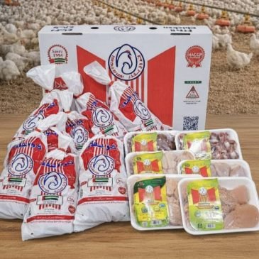 WhatsApp Image 2025-12-21 at 12.46.24 PM (1)