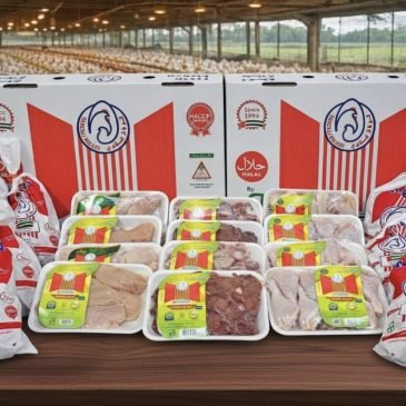 WhatsApp Image 2025-12-21 at 12.46.24 PM